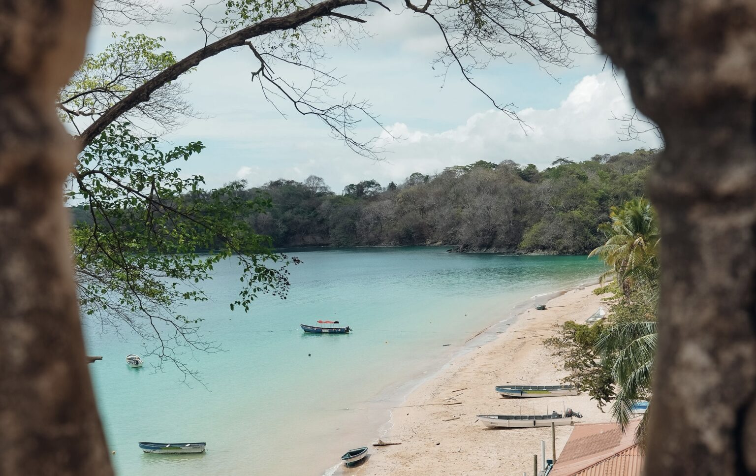 Escape to Paradise: Discover Saboga Island in Panama - Saboga Lodge