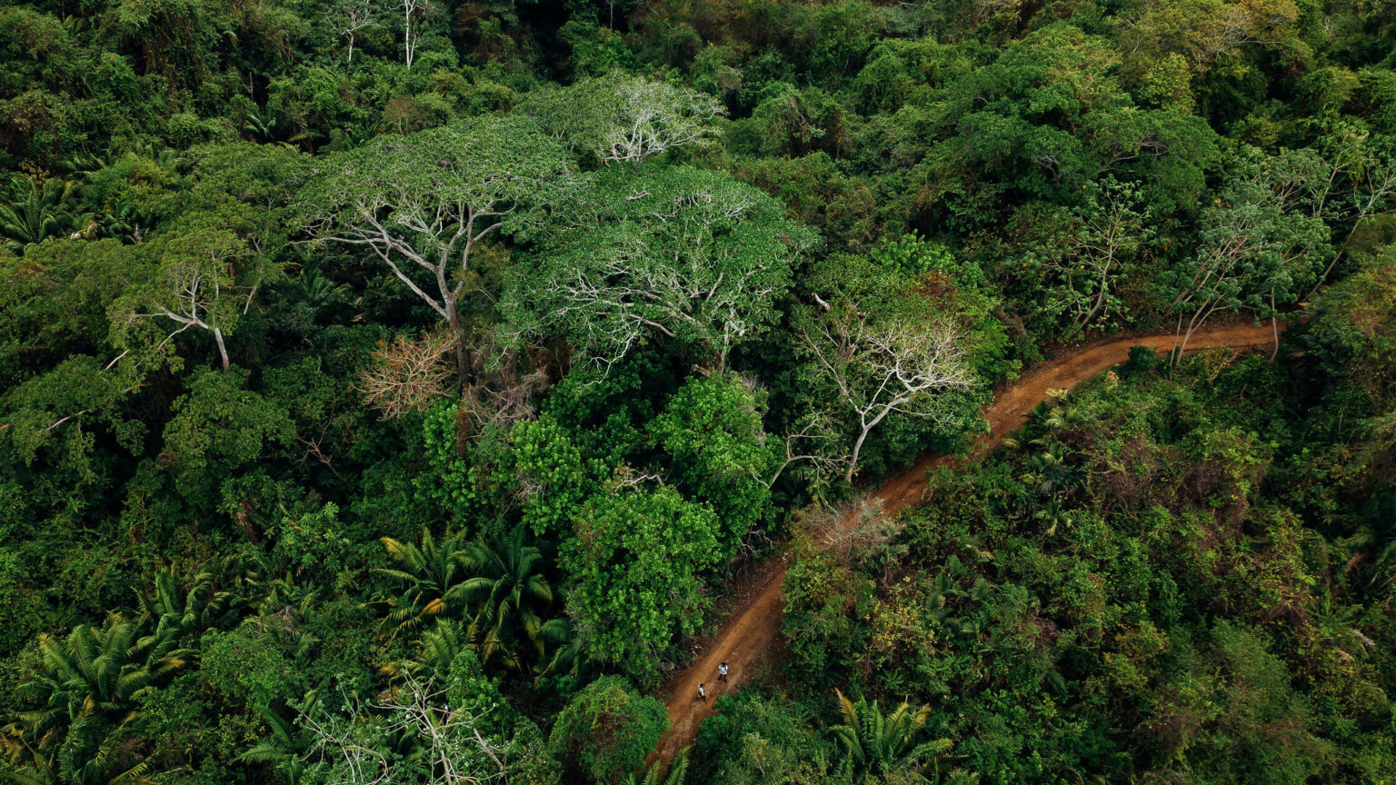 Escape to Paradise: Discover Saboga Island in Panama - Saboga Lodge